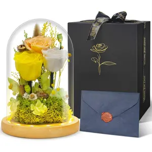 Preserved  Gifts for Women Eternal Rose In Glass Dome Light Up Flower Real Rose Eternal  for Decoration Long Lasting Forever Preserved Glitter Roses   on All Occasions(Yellow)