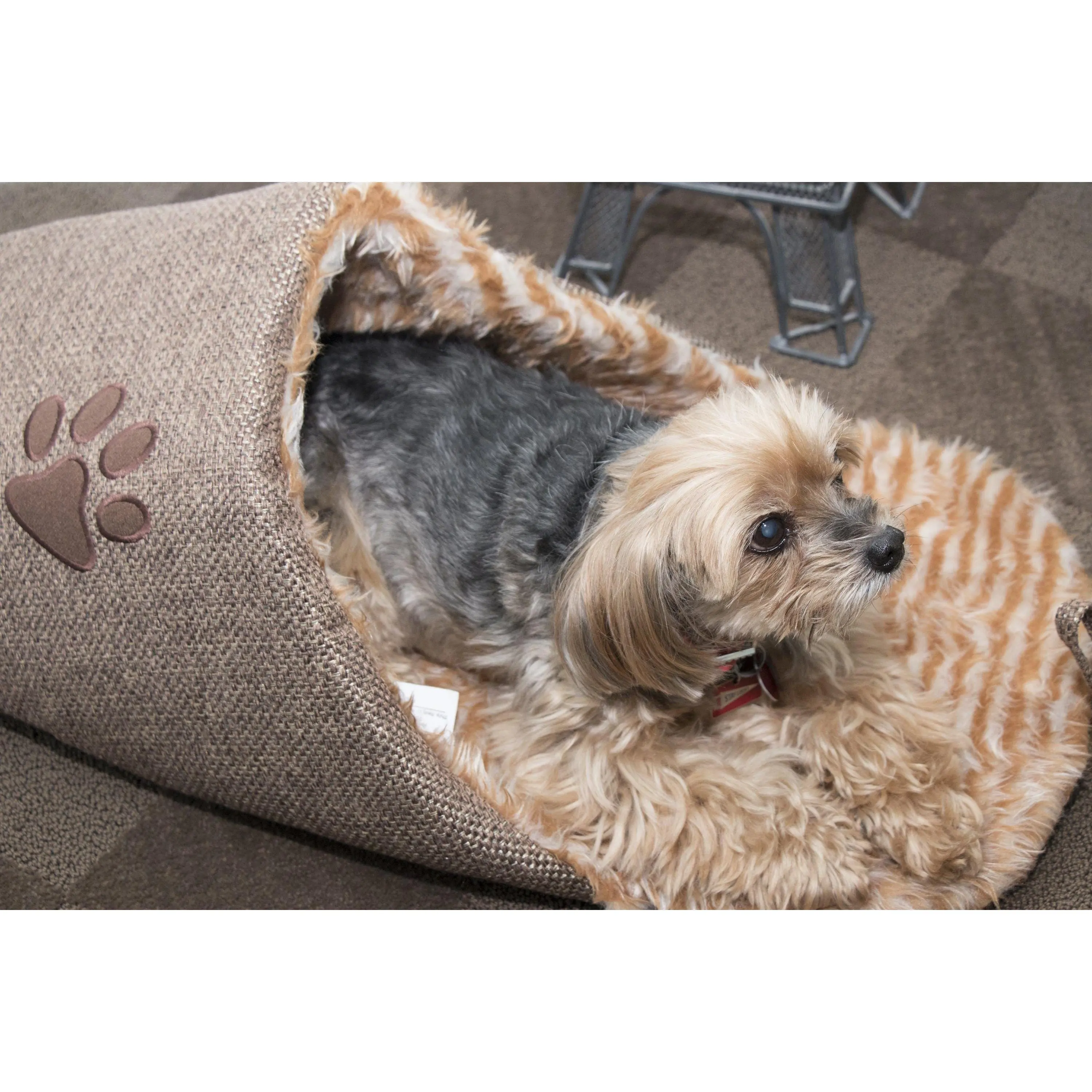 Pet Life ® 'Slip-On' Fashion Designer Polar Fleece Animated Slipper Pet Dog Bed House Shoes