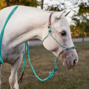 KG Quick Release Stiff 4-Knot Hybrid Halters