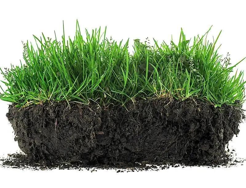 Soil Conditioning Formula 8.5 oz – Restores Soil Balance and Encourages Steady, Healthy Plant Growth