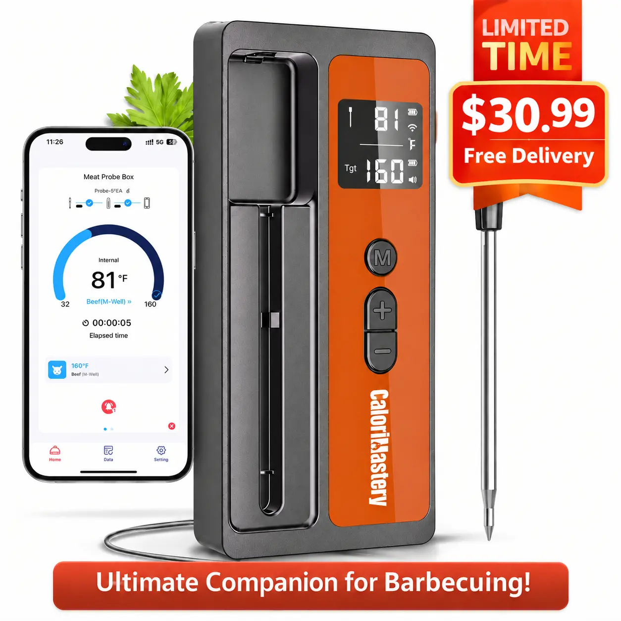Wireless Smart Bluetooth Meat & Food Thermometer - Rechargeable 1000mAh Battery, 500ft Range, IP67 Waterproof, Ultra-Thin Probe, App Sync, Ceramic, 304 Food-Grade Stainless Steel, Plastic Kitchen Utensil, Magnetic Grill Mount for BBQ Enthusiasts, Baking