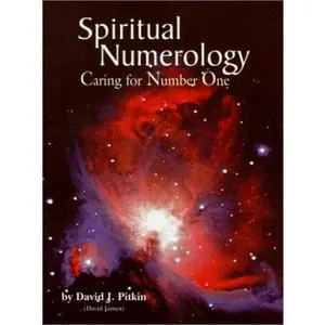 USED Book - Spiritual Numerology: Caring for Number One by David J. Pitkin (Paperback) - english