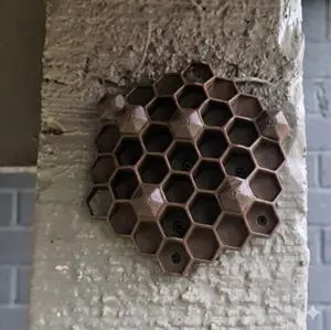 Chemical Free Wasp Nest Decoy Hornet Deterrent 3D Print Customizable Pack of 10 Brown