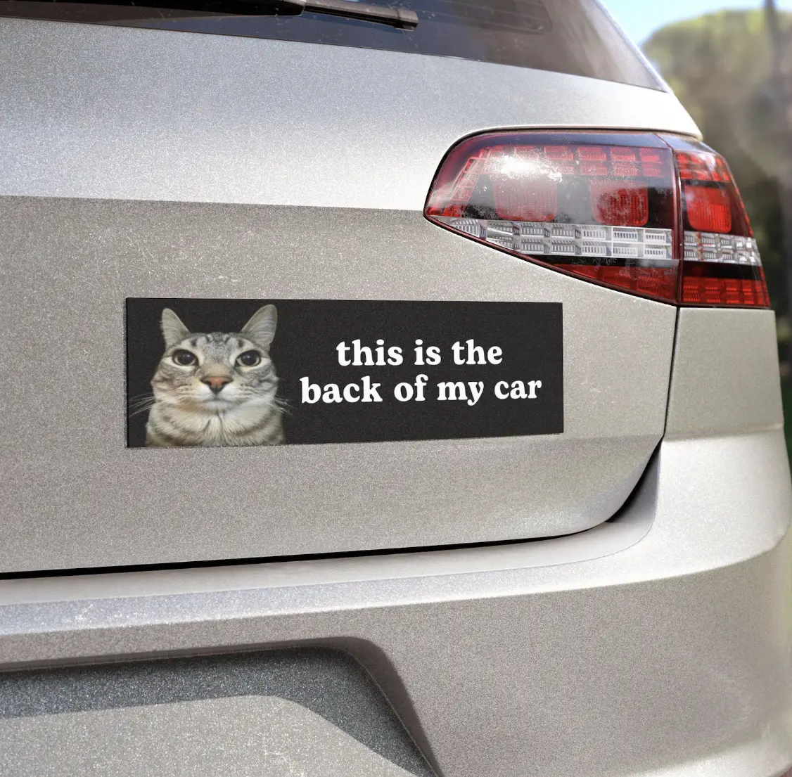 This is the Back of My Car | Car Bumper Magnet | Funny Cat Meme, Black and White, Unhinged, Car Accessory | Waterproof Magnetic Vinyl Decal