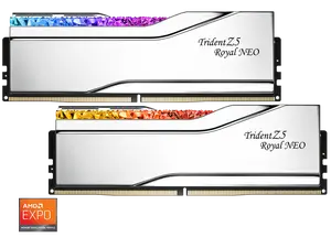 G.SKILL Trident Z5 Royal Neo Series 32GB (2 x 16GB) 288-Pin PC RAM DDR5 6000 (PC5 48000) Desktop Memory Model F5-6400J3039G16GX2-TR5NS