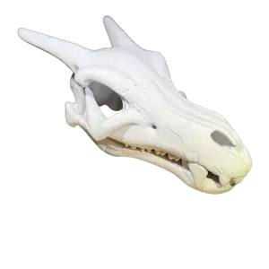 Marble Charmander/Charizard inspiredSkull Large 3D Printed Model Collectible Decorative Piece for Pokemon collectors