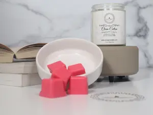 Ceramic Wax Warmers 2 in 1