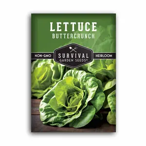 Buttercrunch Lettuce Seed for Planting - High-Quality Seeds