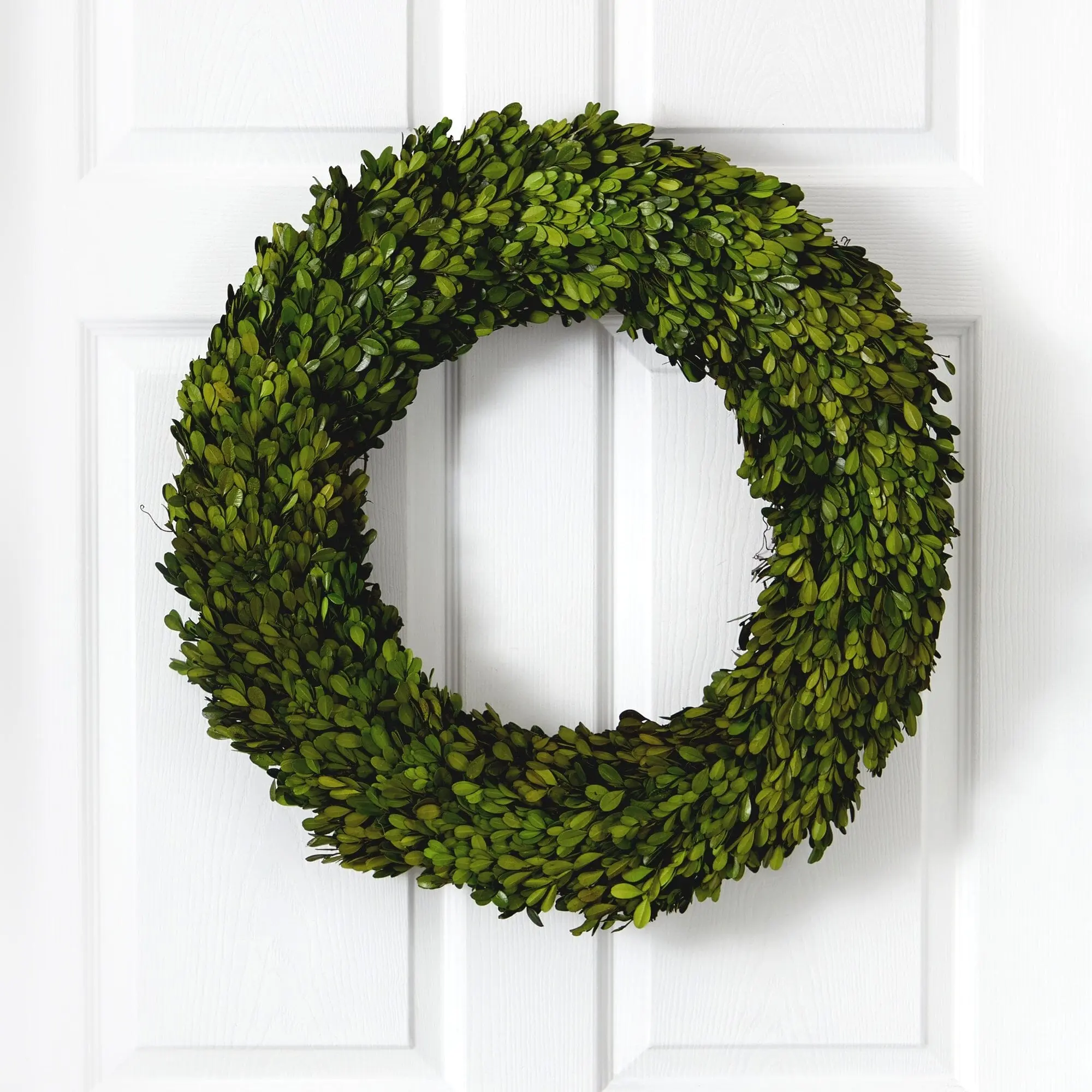 24-in Natural Preserved Boxwood Wreath with Full Leafage - Traditional Classic All-Seasons Room Decor, Holiday Door & Mantel Accent (Indoor-Outdoor Home Supplies)