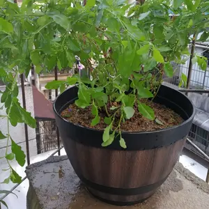 Imitation wood country flowerpot-durable plastic flowerpot indoors and outdoors, suitable for succulent plants and garden decoration, Outdoor Planters