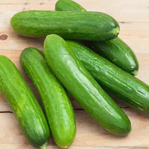 50pcs Cucumber Seeds - Heirloom Non-GMO USA Grown Vegetable Seeds for Planting - Pickling and Slicing Cucumber