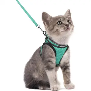 rabbitgoo Cat Harness and Leash Set for Walking Escape Proof, Adjustable Soft Kittens Vest with Reflective Strip for Cats, Comfortable Outdoor Vest, Black, S