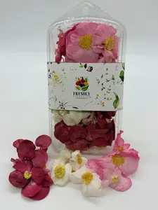 Freeze-Dried Edible Begonias