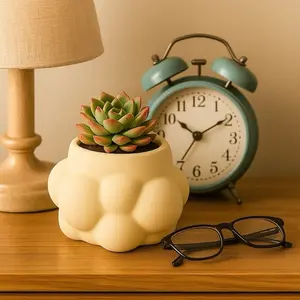BubbleCloud 3D Printed Succulent Planter 4 Inch Unique Design Ceramic Pot for Home Decor