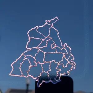 Punjab holographic sticker.
