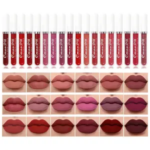18Pcs Matte Liquid Lipstick Set, Waterproof Long Lasting Non-Stick Cup Nude Lipstick Dark Red Lipstick for Women 24 Hour High Pigmented Lip Gloss Set Valentine's Day Gifts for Women