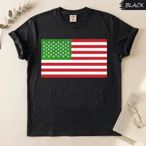 Comfort Colors Reflecting Pool Algae American Flag Funn Lincoln Memorial Graphic Shirt, Washington DC 4th Of JulyTeam Algae Tee