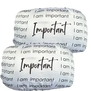 2pack  I am important affirmation pillowcase