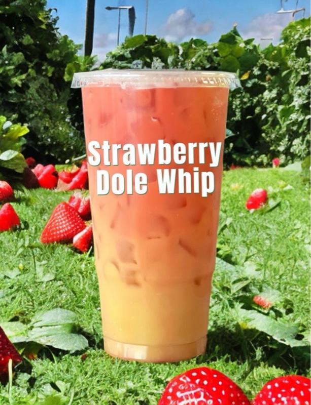 Protein Tea Caffeine Powdered Beverage Mix Flavors Sugar Free Specialty