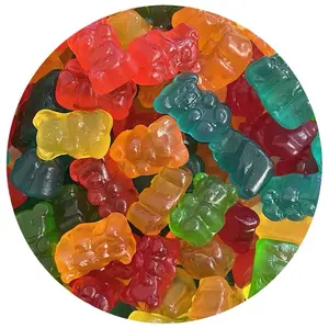 Gummy Bears Candy, Assorted Fruit Flavors, 1-Pound Pack Classic Snack