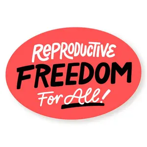 Reproductive Freedom for All Feminist Protest Vinyl Sticker