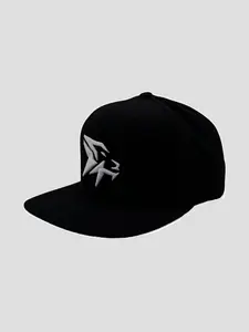 Origin Snapback