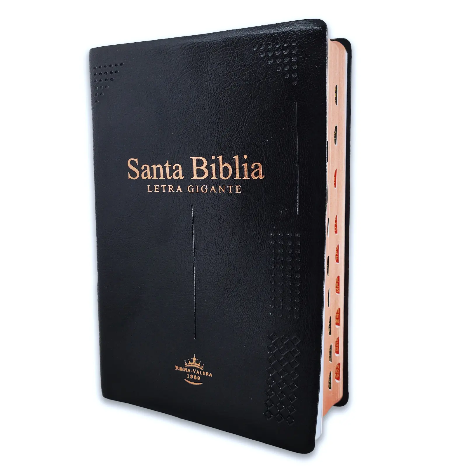 CLARAMENTE CRISTIANO Spanish Reference Bible, Reina Valera 1960, 14-Point Giant Font, 2023 Edition, Black Vinyl Soft Cover, Full-Color Maps, 1-Year Reading Plan, Index Included, 14 Points