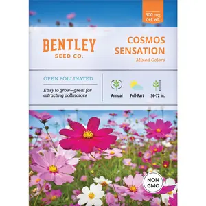 Cosmos, Sensation Seed Packets