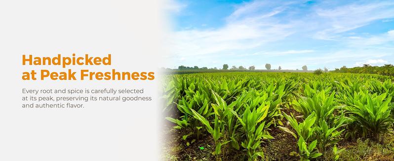 120 Bags Turmeric Ginger Cinnamon Tea, 100% Natural, Anti-Inflammatea. Eco-conscious Tea Bags. Turmeric Ginger Herbal Tea. No Sugar, No Caffeine, No Gluten, Vegan. antiinflamma tea, looseleaf tea Beverage anti in flama tea ginger caffeine free