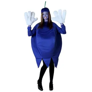Plus Size Blueberry Costume for Adults