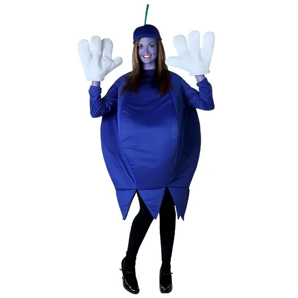 Plus Size Blueberry Costume for Adults