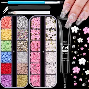 3D Flowers Manicure Gems Nail Rhinestone Glue Gel,Colorful Acrylic Flower Nail Charms Caviar Beads,Rhinestones Nails and Gem Glue Nails (UV/LED Needed) Pickup & Dotting Tools