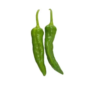 Hatch Green X Hot - Barker's Hot Chile Seeds - Great Flavor, Matures Early