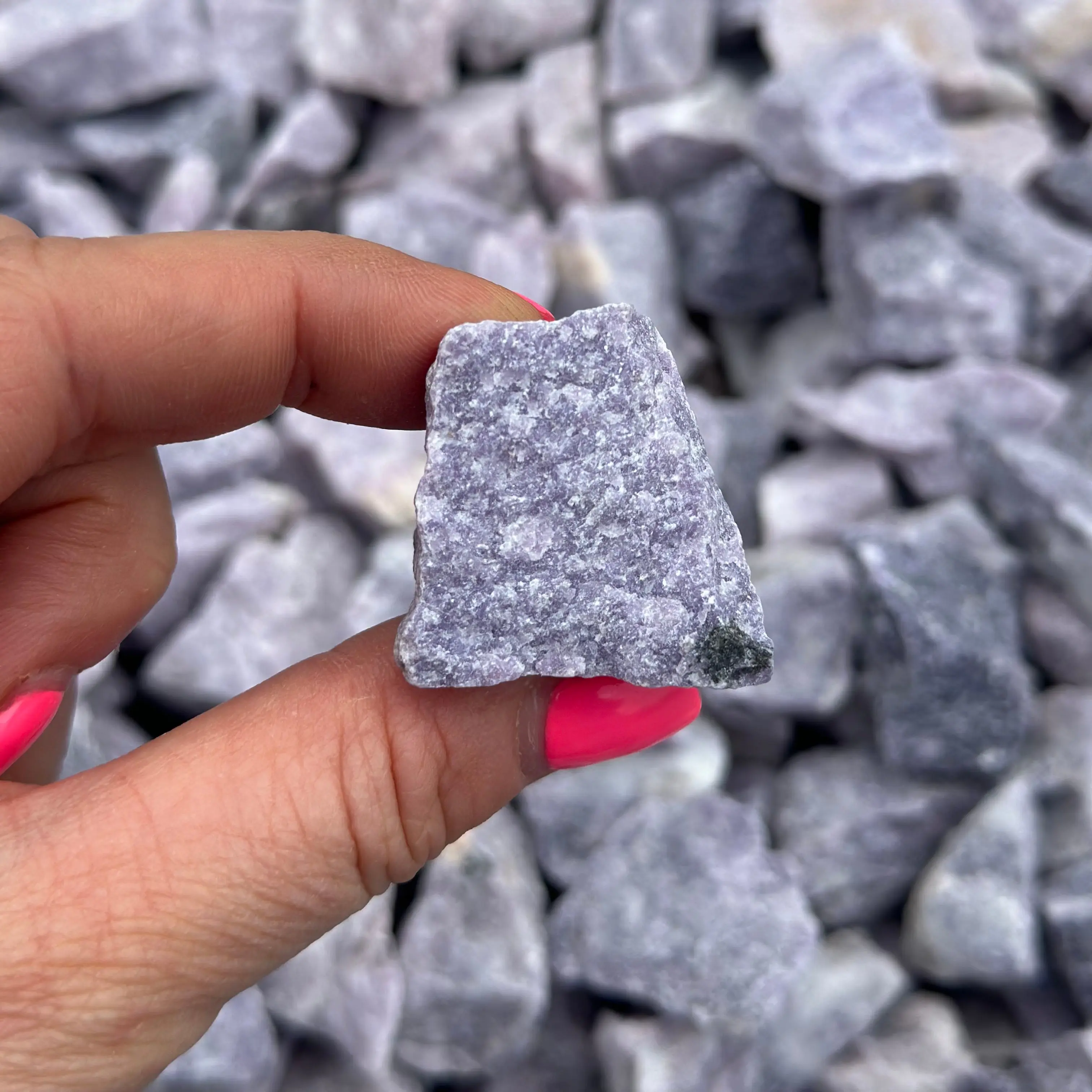 New Moon Beginnings Raw Lepidolite Stone - Natural Colorful Rocks in Hand