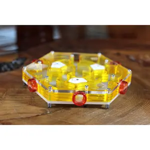 HexNest Branch - Yellow Ant Formicarium