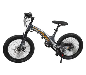 Windersekar Smart Electric Bicycle for Teenagers 25km/h Speed 40-65km Range 16kg Lightweight Frame Dual Disc Brakes 20-Inch Tires Perfect Gift for Ages 12-18