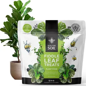 Bless Your Soil Fiddle Leaf Treats® Plant Food 12-4-8 for Bigger Greener Glossier Leaves and Stronger Resilient Ficus Growth