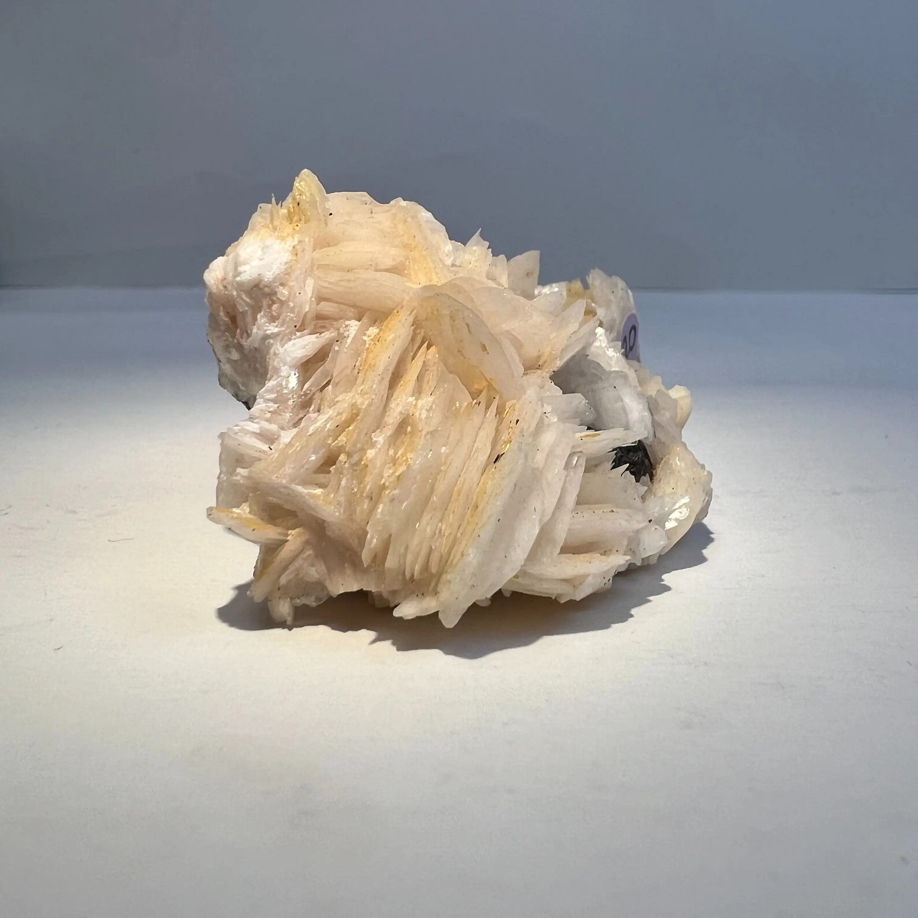 [Fleur de Cristal] White Calcite Cluster – Natural Healing Crystal