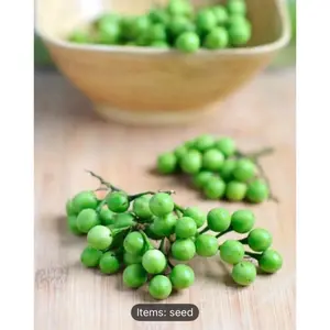 Louise Care Green Zanmoret Fresh Vegetables