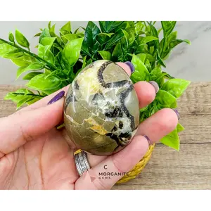 Septarian Dragon Egg (Brown Aragonite) – 4 Unique 2.5 Inch Eggs with Stand, 200g-250g