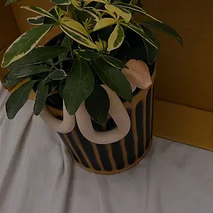 Plant Decoration Snake