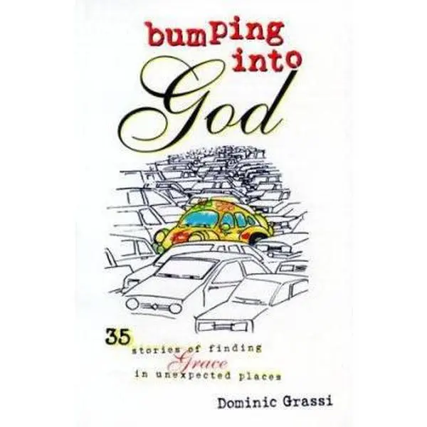 USED-Bumping into God: 35 Stories of Finding Grace in Unexpected Places by Dominic Grassi (Hardcover)