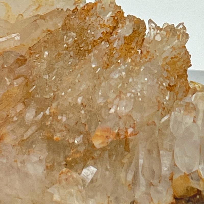 [Earth Archive] Namibian Backbone Smokey Quartz | Crescent Cast