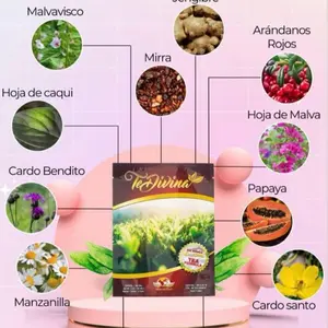 Vida Divina Te Divina Beverage Tea Herbal Drink with Fruit - 12-Herb Blend, Caffeine-Free, Supports Digestion & Detoxification, Jar Natural Nata