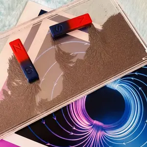 Iron Powder Box Set with 2 Magnets and Card, Magnetic Field Demonstration Kit, Physics Teaching Aid, Small Size, Educational Tool