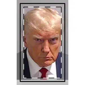 Custom trump mugshot Magnets
