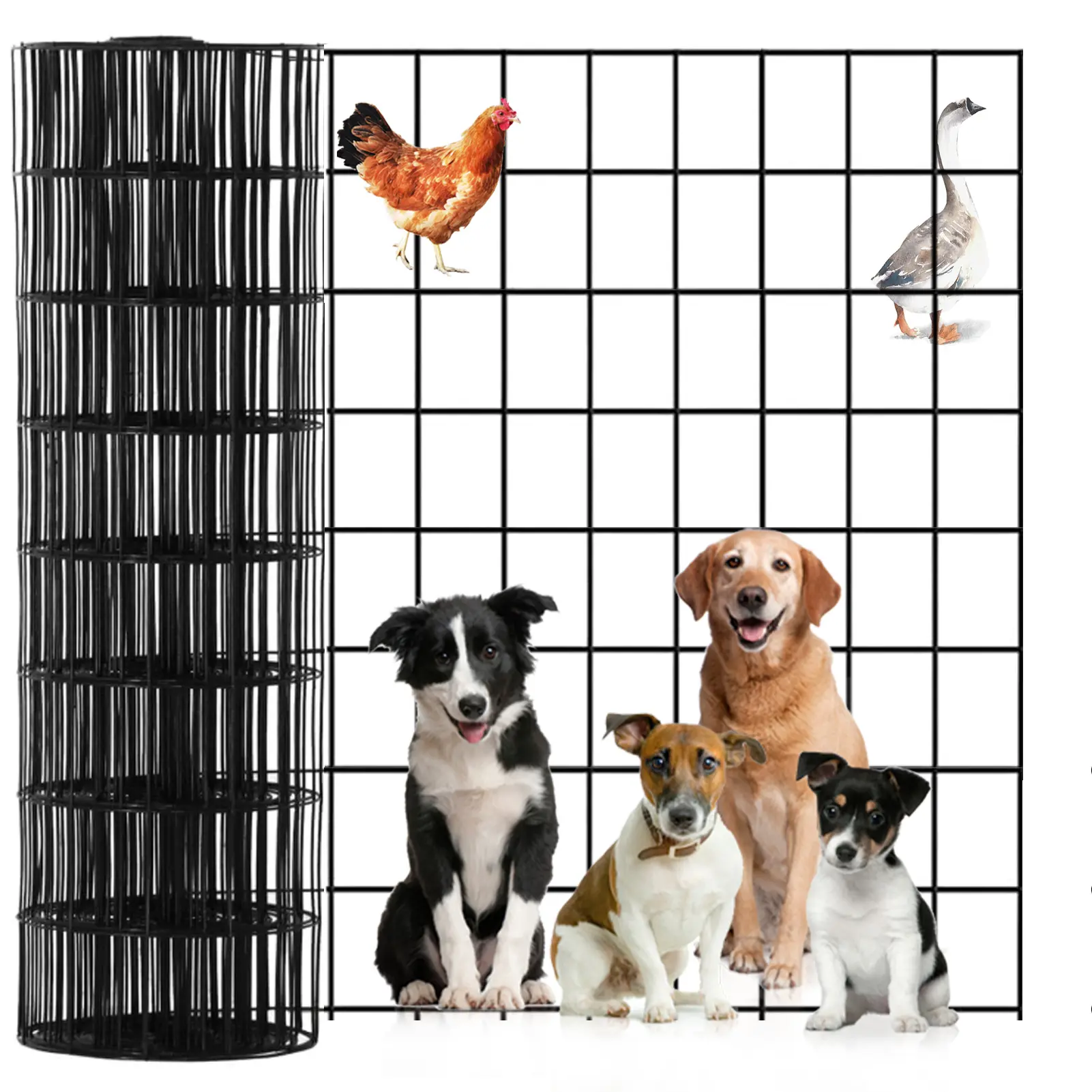36" X 50', 2 Inch X 4 Inch 14GA, Hardware Cloth Black Vinyl Coated Chicken Wire Fence PVC Galvanized Welded Mesh Roll For Home Garden, 100 Zip Ties