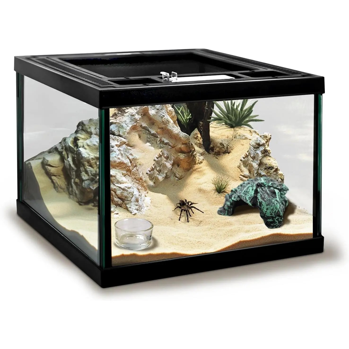 Mini Reptile Rectangle Glass Terrarium with Top Ventilation, Anti-Escape Safety Lock, 5 Pcs Maintenance Kit - Ideal for Turtles, Bearded Dragons (Insects-Feeding Pets)