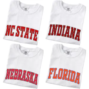 Comfort Colors White Vintage Varsity T-Shirt – Distressed College Athletic Tee, Unisex Classic Fit Cotton Shirt, Retro Campus Style - PTS