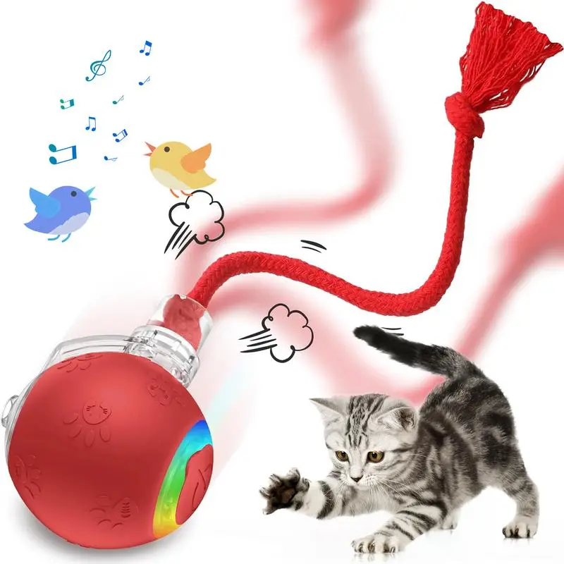 Interactive Cat & Dog Teaser Toy, Kitten Rolling Ball Toy, Pet Supplies, Dog & Cat Accessories Cute dog toys